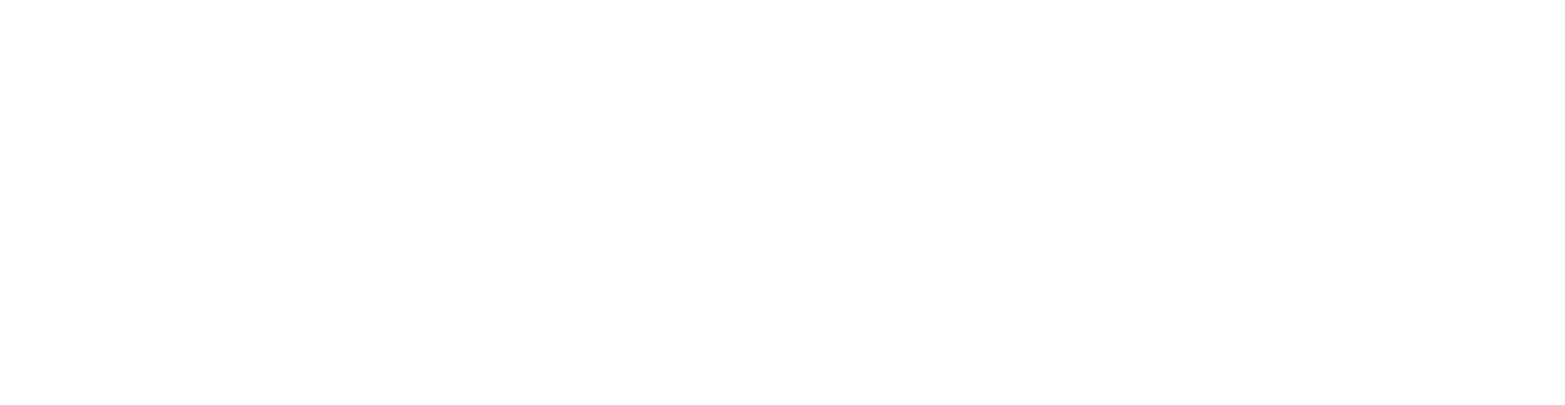 advisupply student consulting